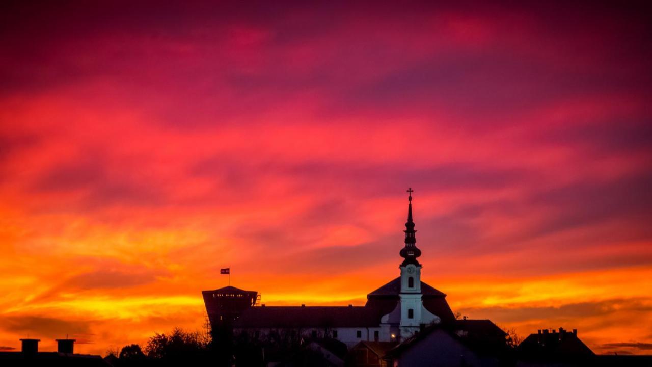Vila Rosa Vukovar B&B 외부 사진